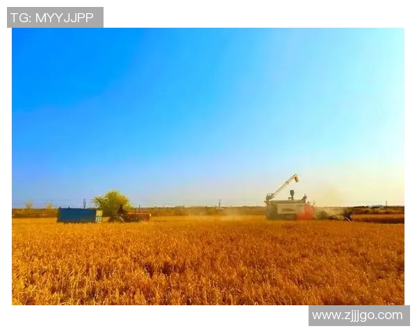 五谷丰收：探寻农作物生长之道